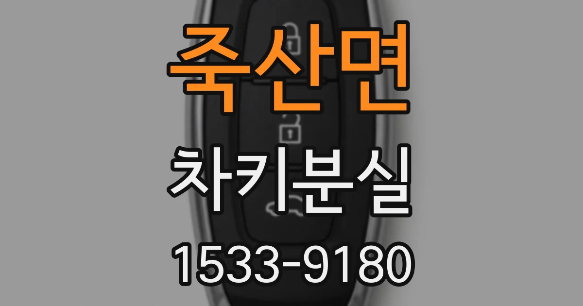 죽산면 차키분실