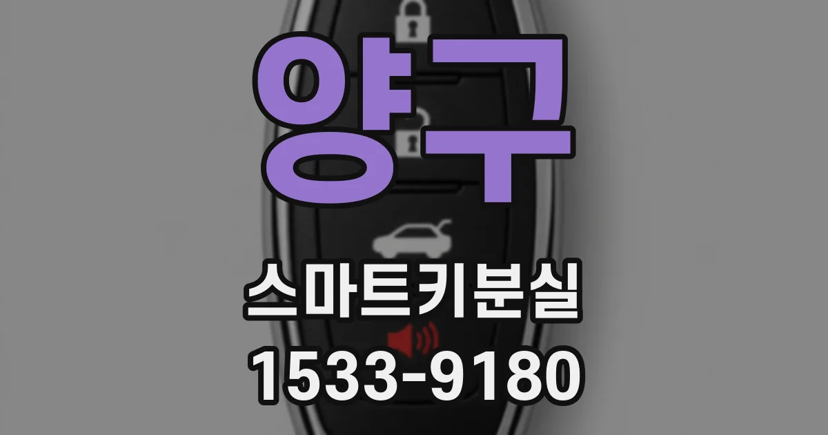양구 스마트키분실