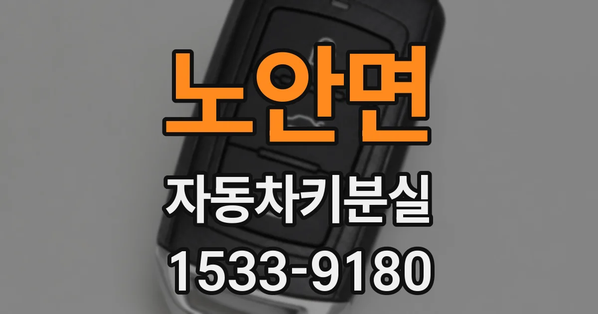 노안면 자동차키분실