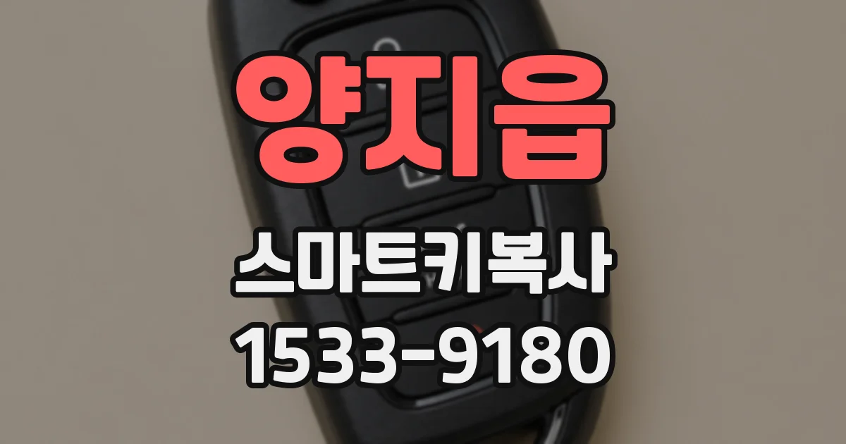양지읍 스마트키복사