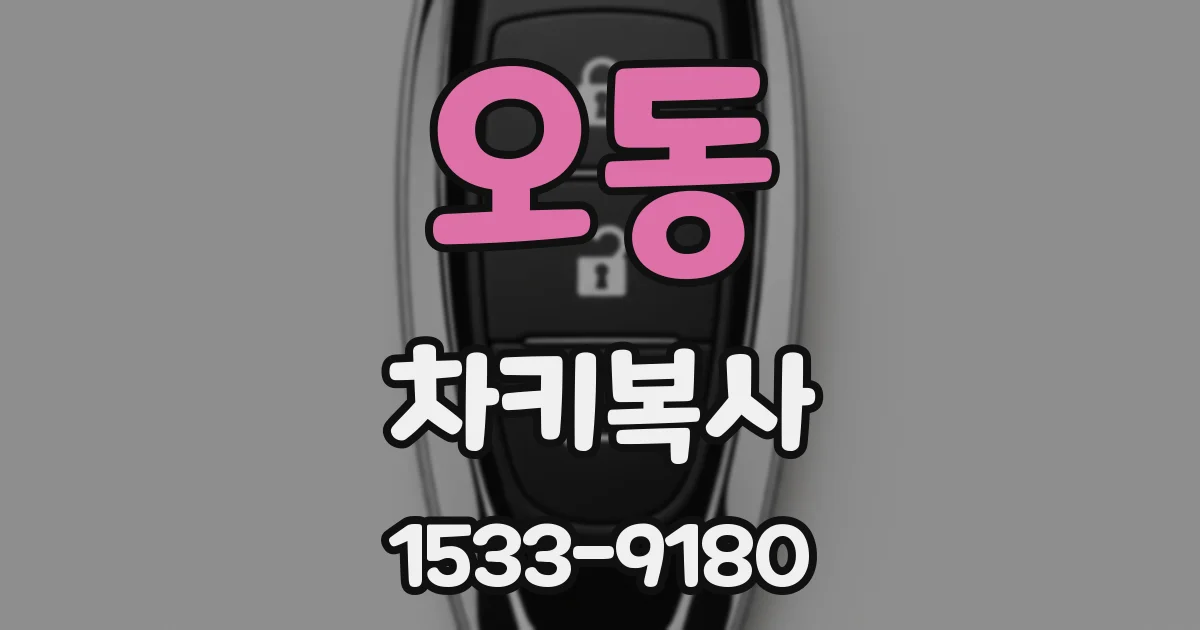 오동 차키복사
