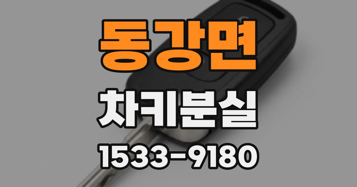 동강면 차키분실
