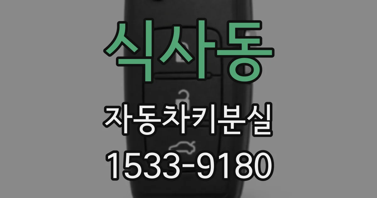 식사동 자동차키분실