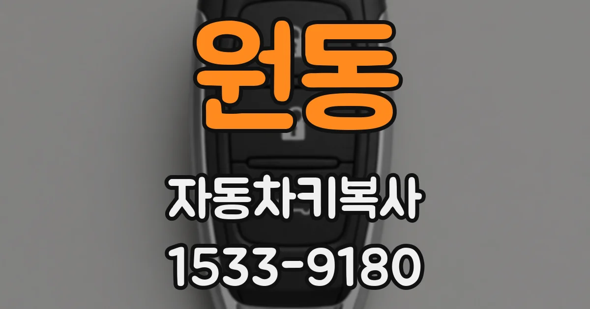 원동 자동차키복사