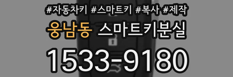 웅남동 스마트키분실