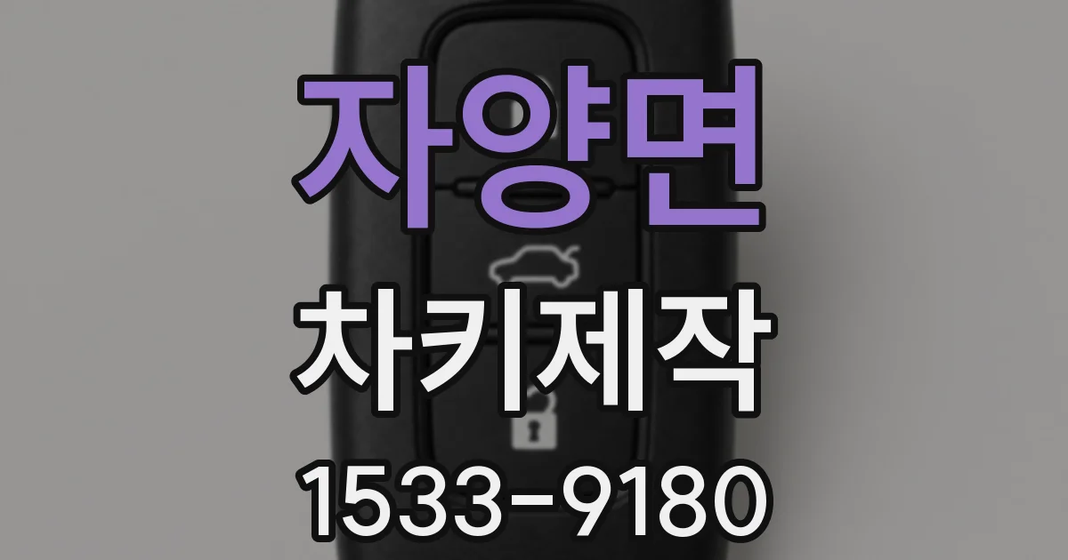 자양면 차키제작