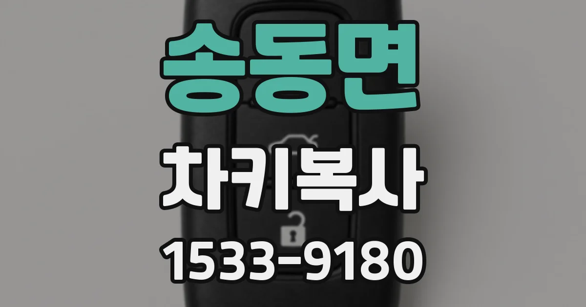 송동면 차키복사