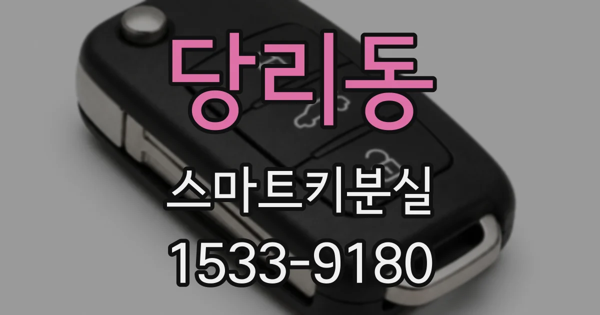 당리동 스마트키분실