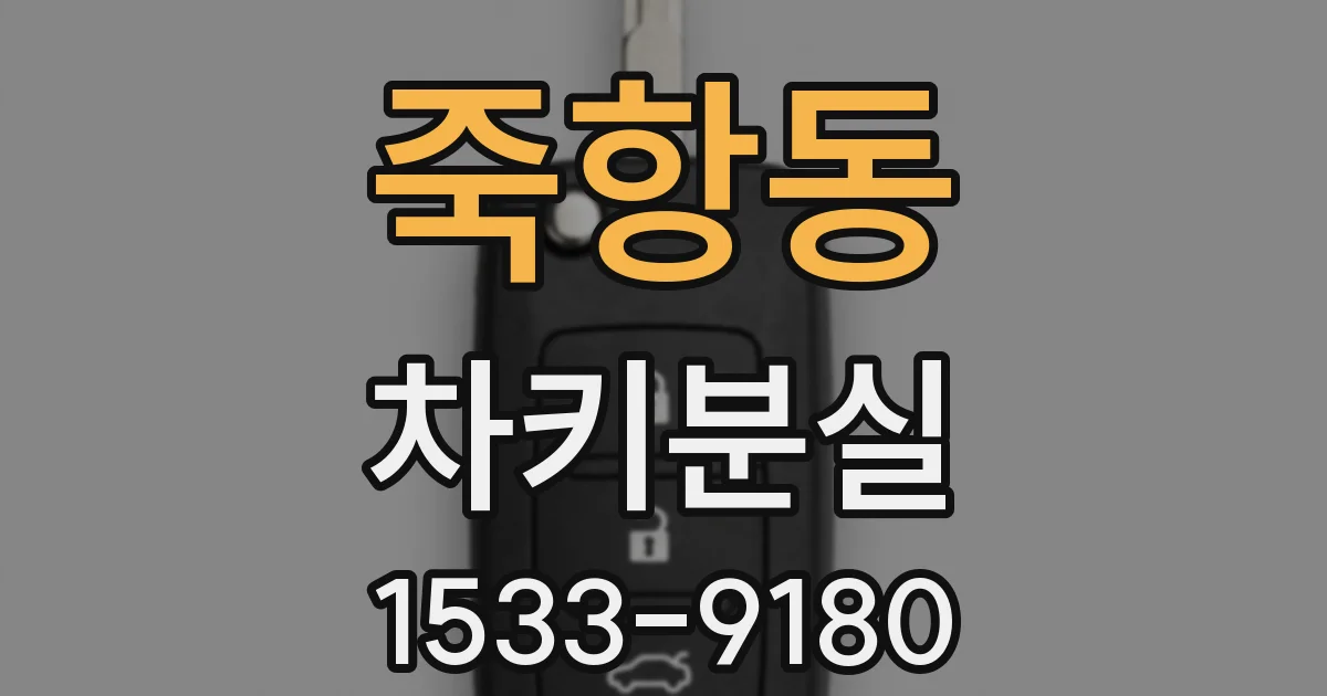 죽항동 차키분실