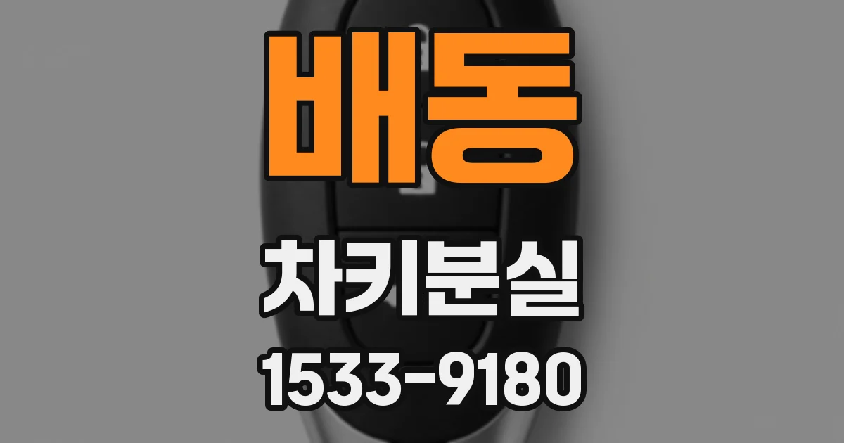 배동 차키분실