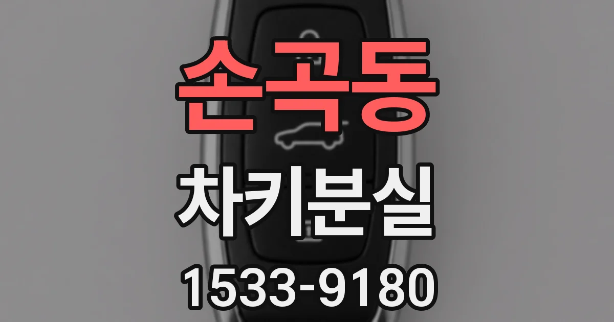 손곡동 차키분실