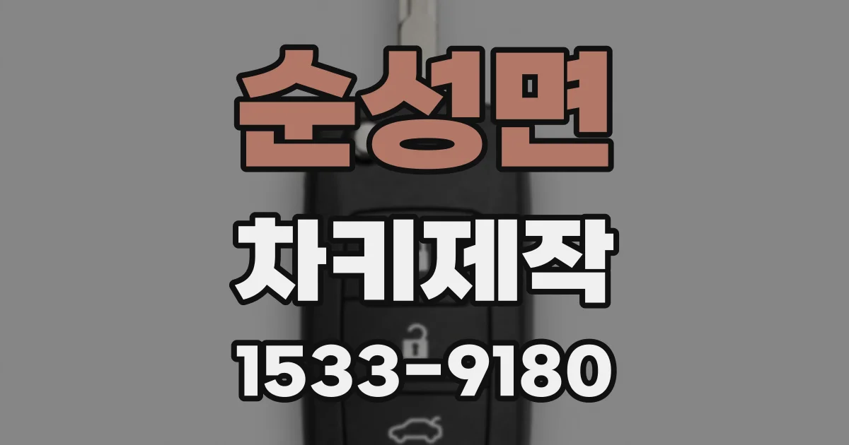 순성면 차키제작