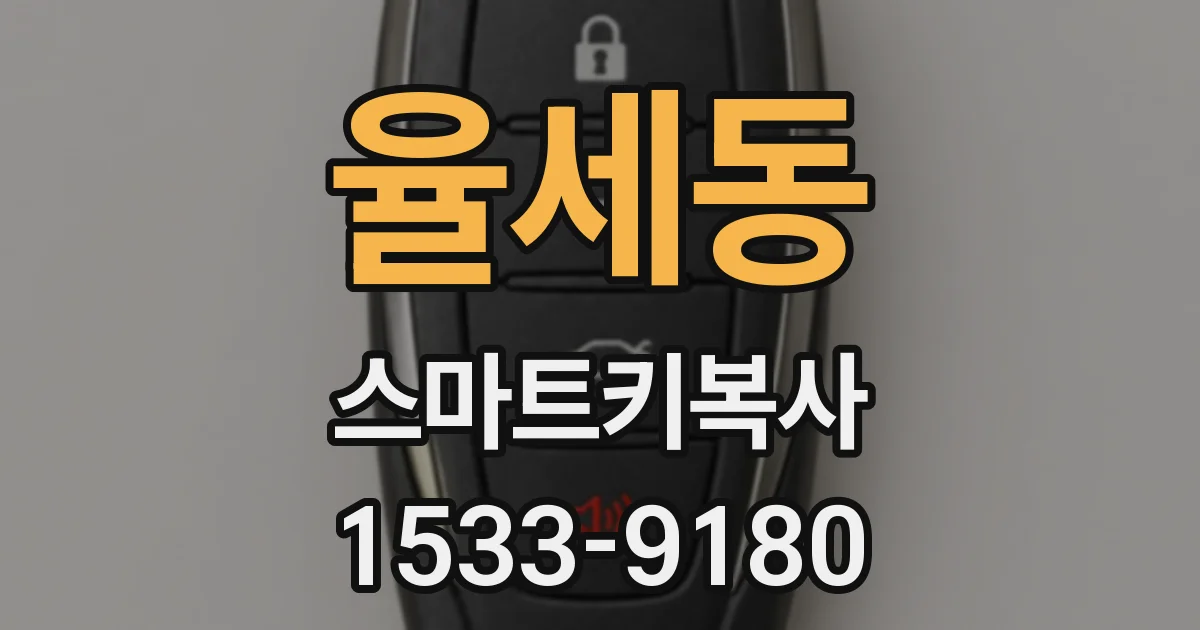 율세동 스마트키복사