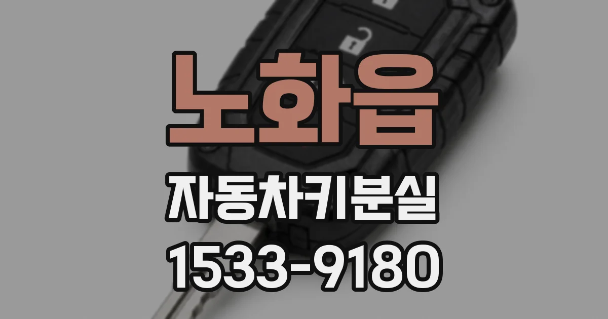 노화읍 자동차키분실