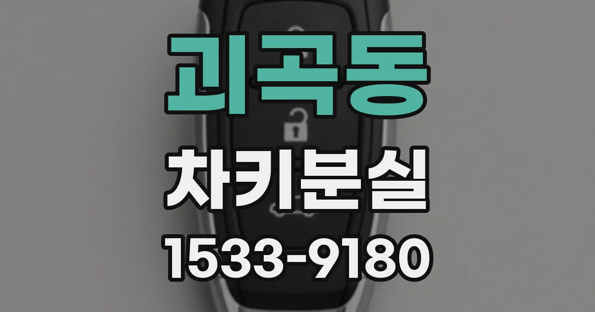 괴곡동 차키분실
