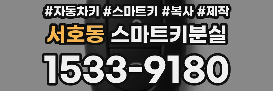 서호동 스마트키분실
