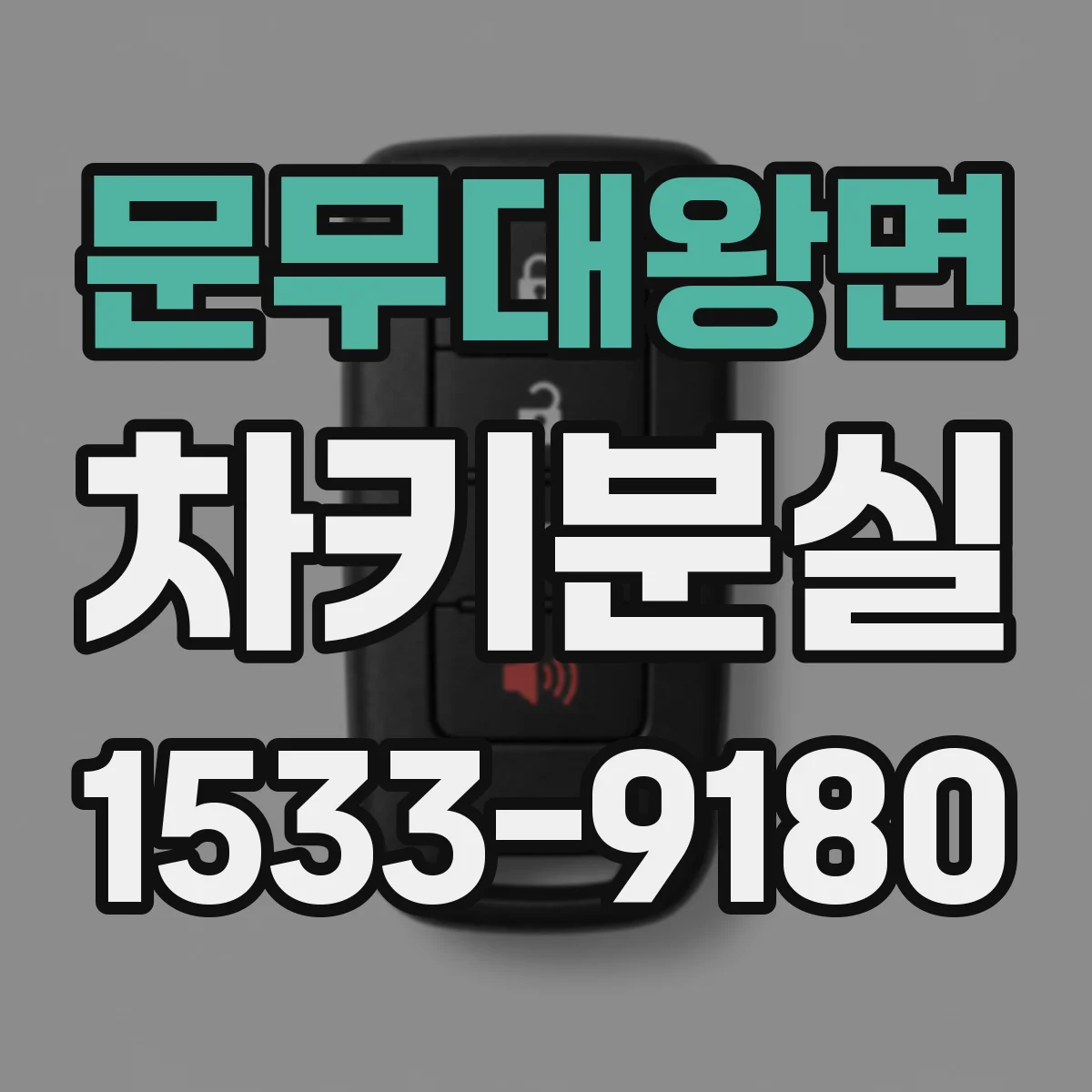 문무대왕면 차키분실
