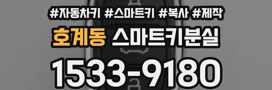 호계동 스마트키분실