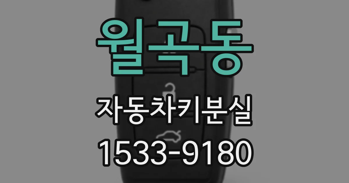 월곡동 자동차키분실