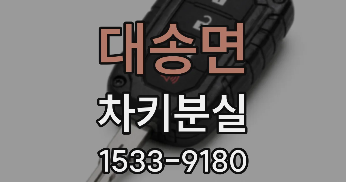 대송면 차키분실
