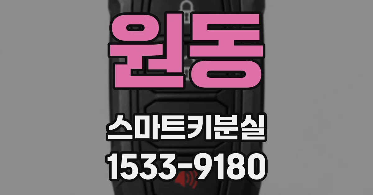 원동 스마트키분실