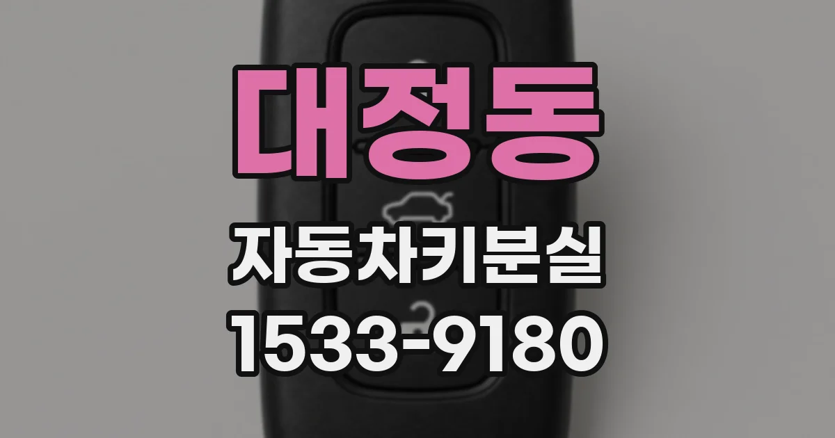 대정동 자동차키분실