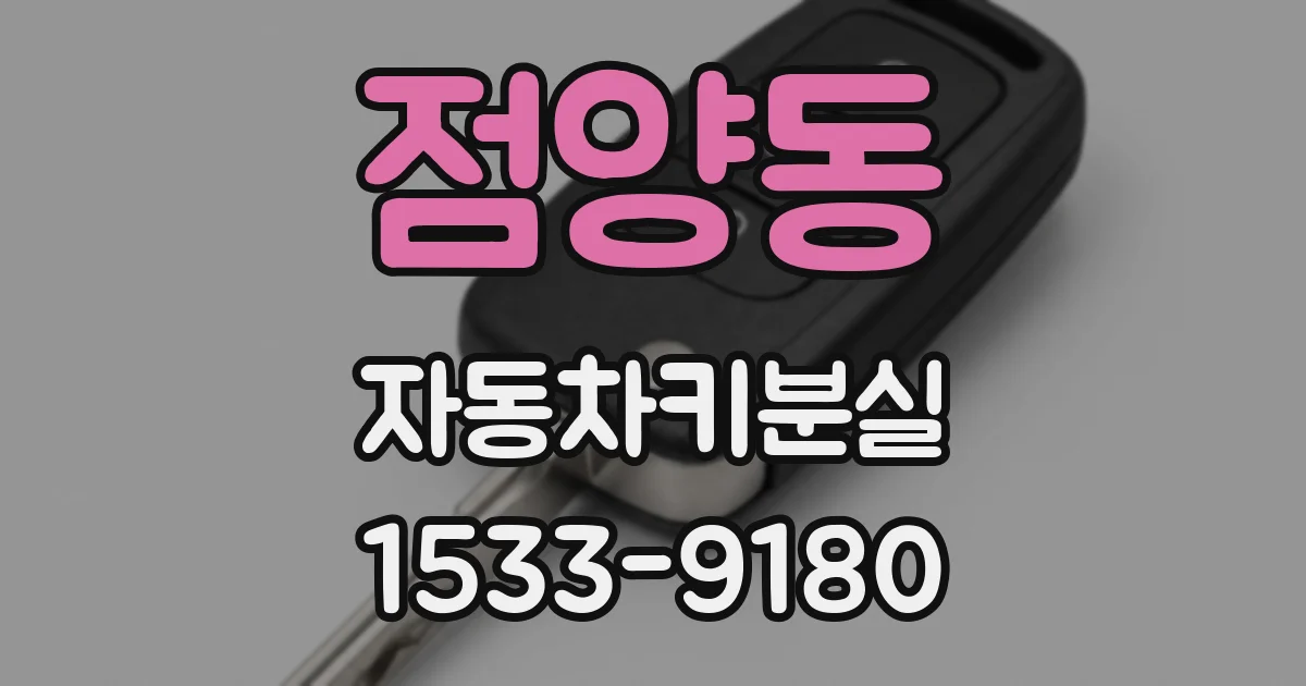 점양동 자동차키분실
