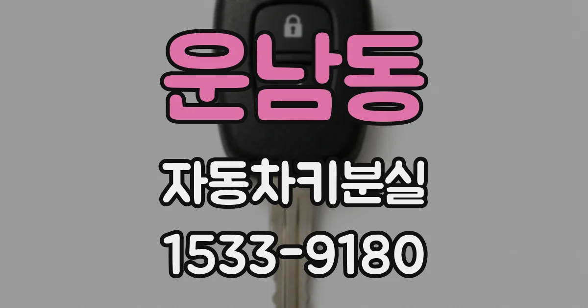 운남동 자동차키분실