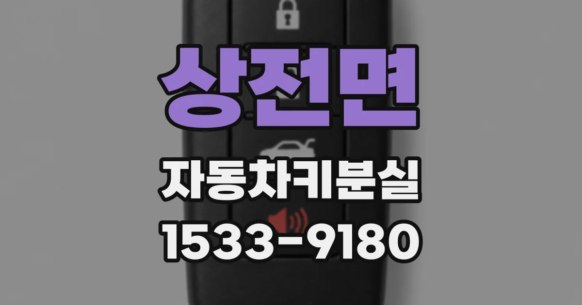 상전면 자동차키분실