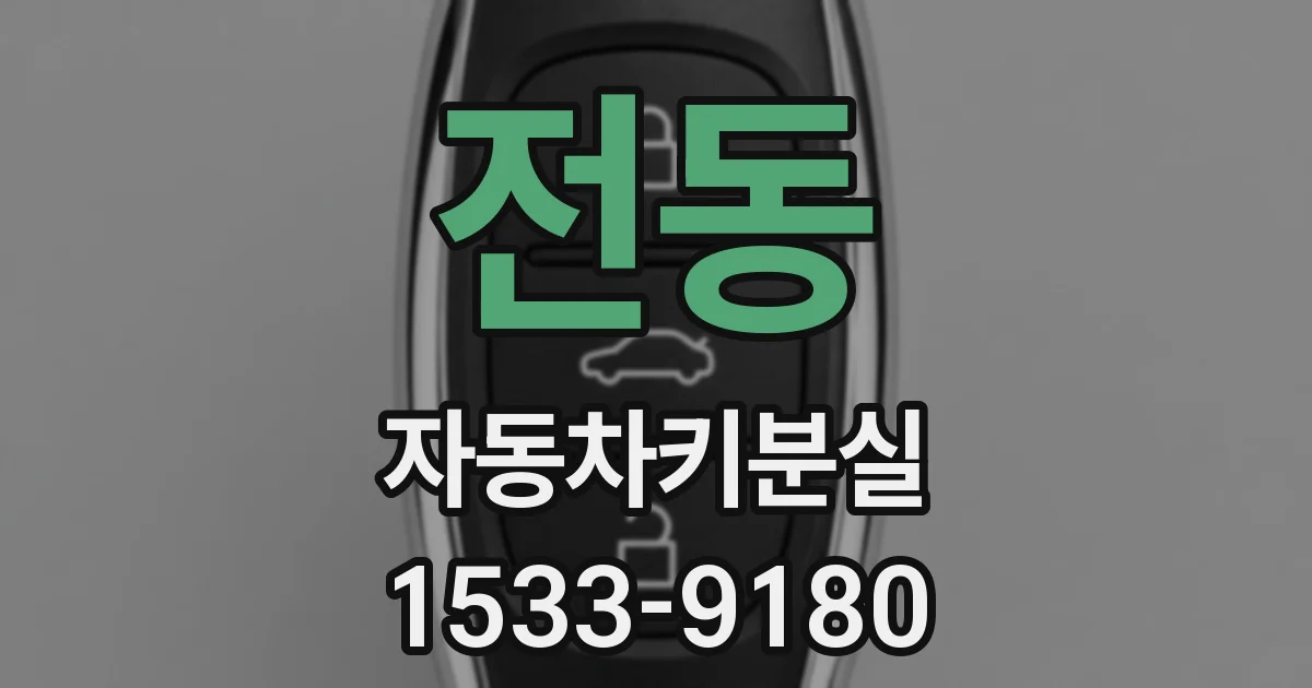 전동 자동차키분실
