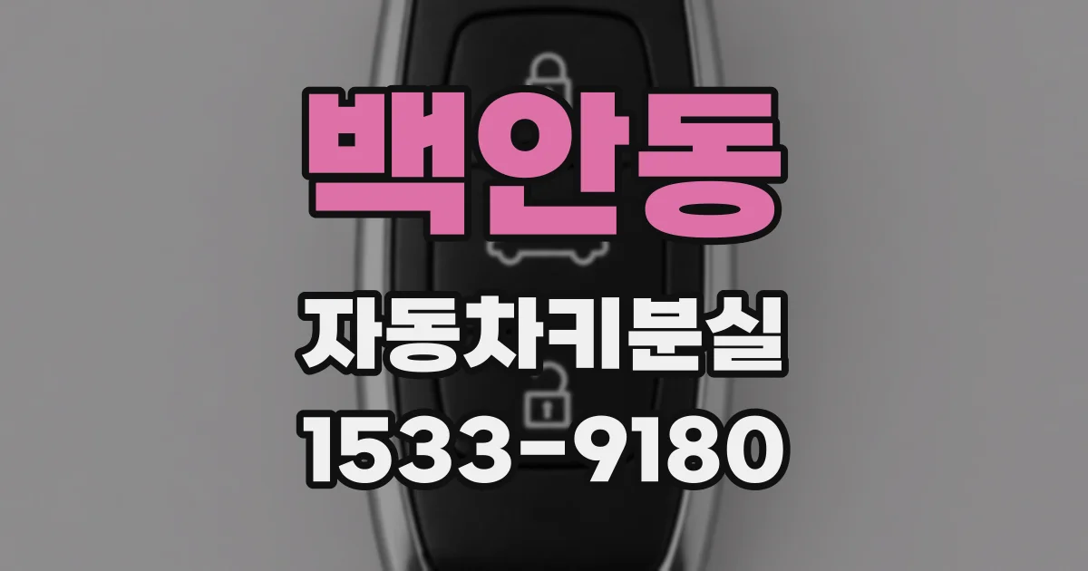 백안동 자동차키분실