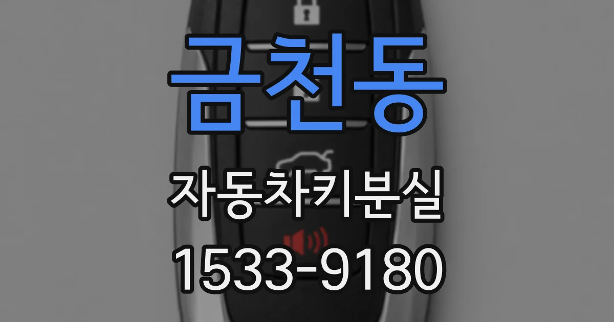 금천동 자동차키분실