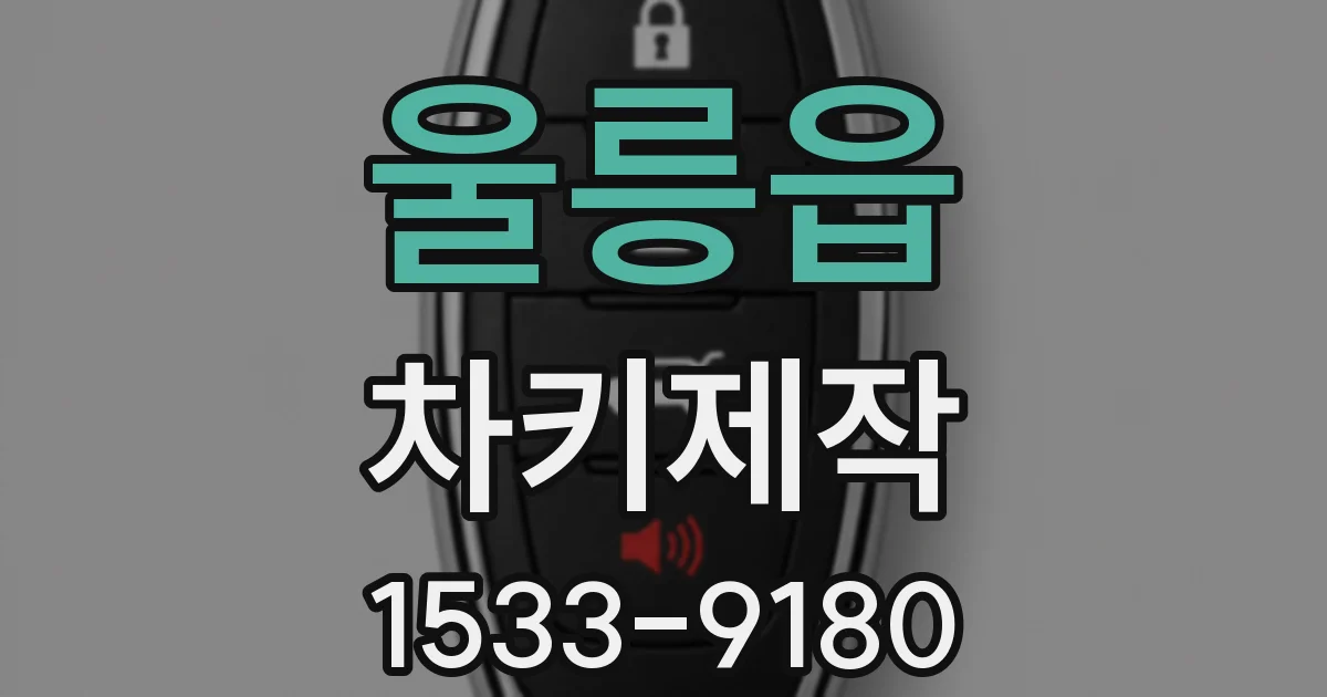 울릉읍 차키제작