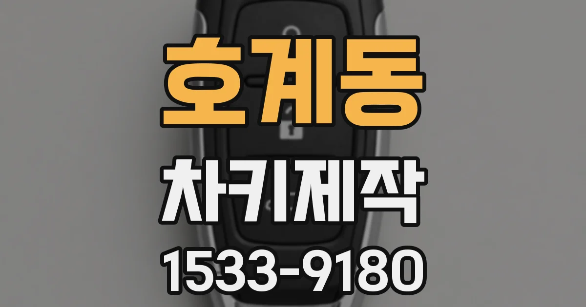호계동 차키제작