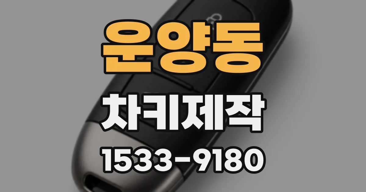 운양동 차키제작