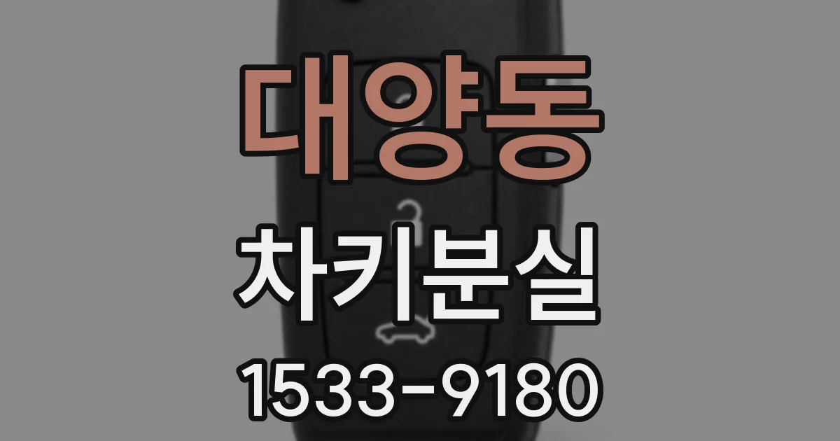 대양동 차키분실