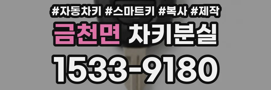 금천면 차키분실