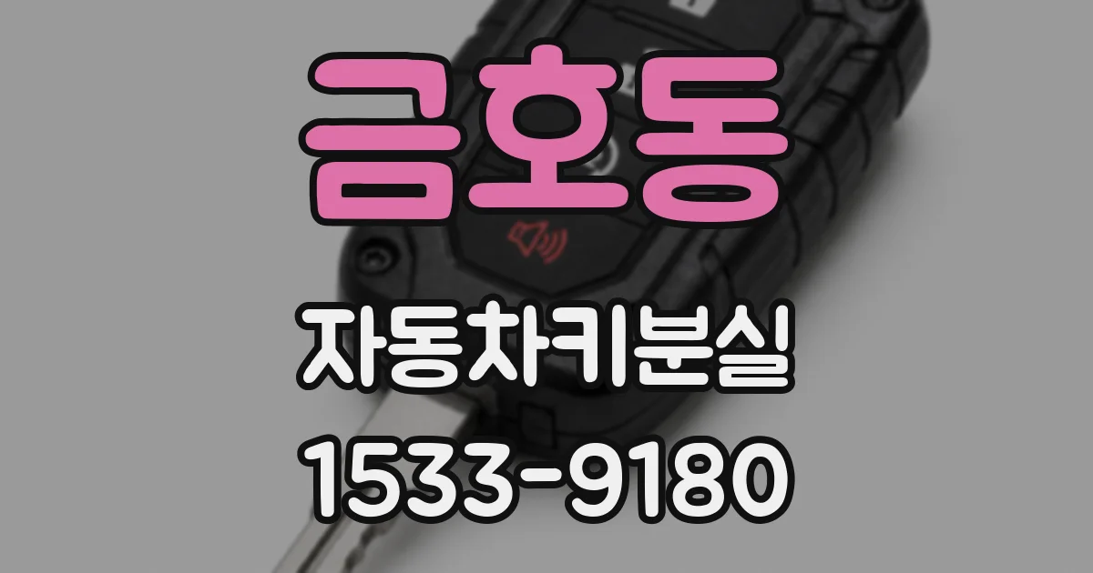 금호동 자동차키분실