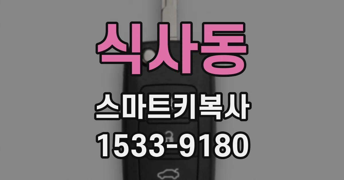 식사동 스마트키복사