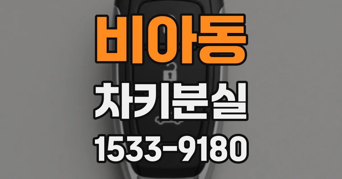 비아동 차키분실