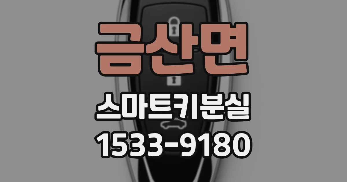 금산면 스마트키분실