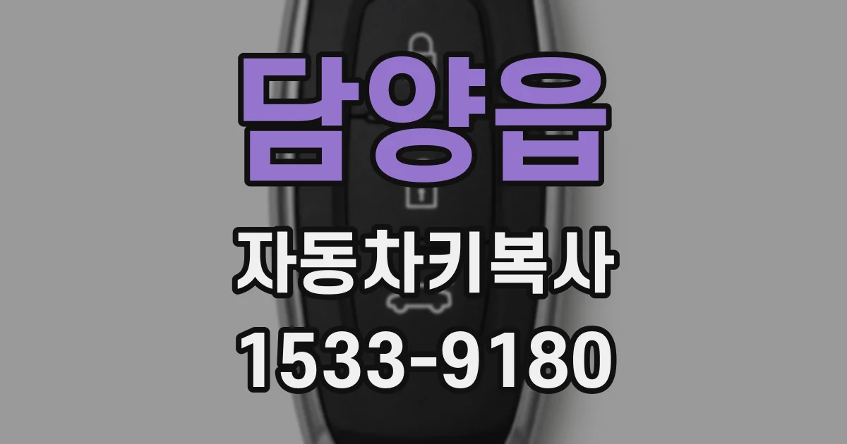 담양읍 자동차키복사