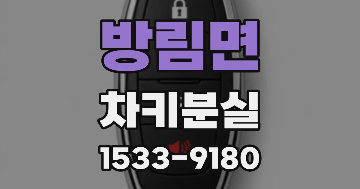 방림면 차키분실