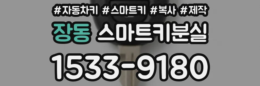장동 스마트키분실