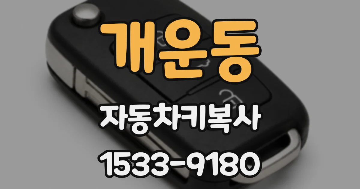 개운동 자동차키복사