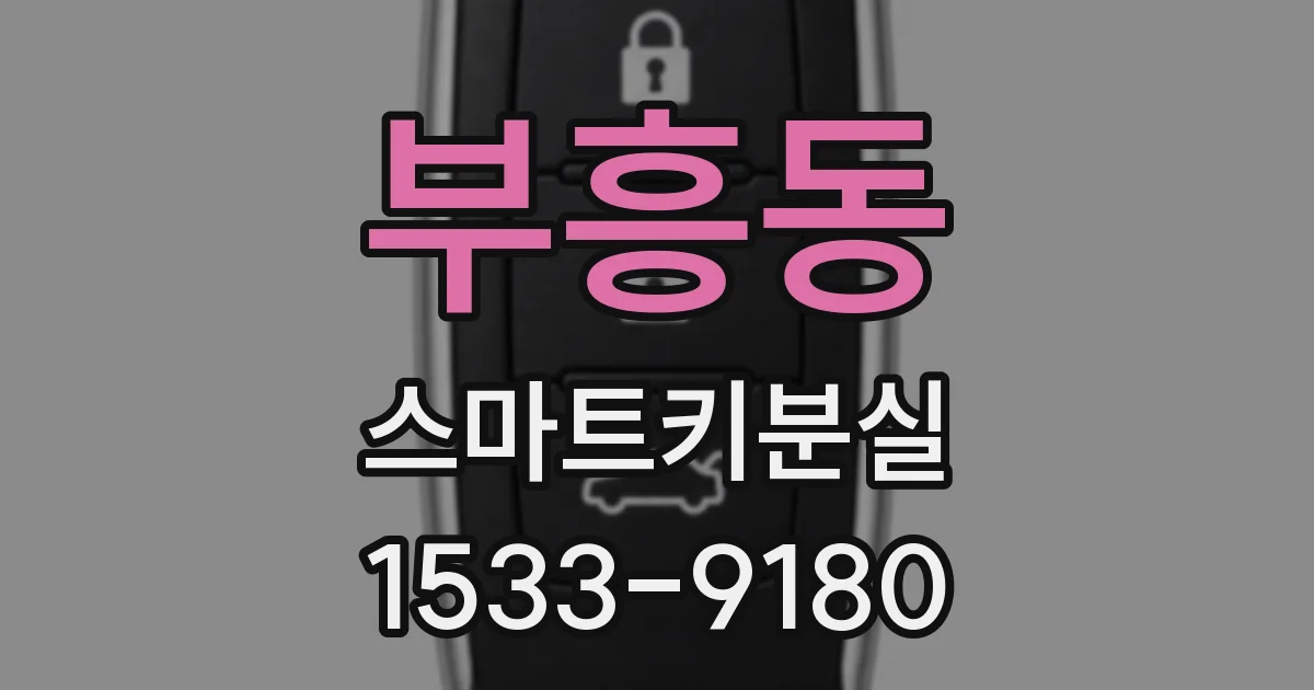 부흥동 스마트키분실