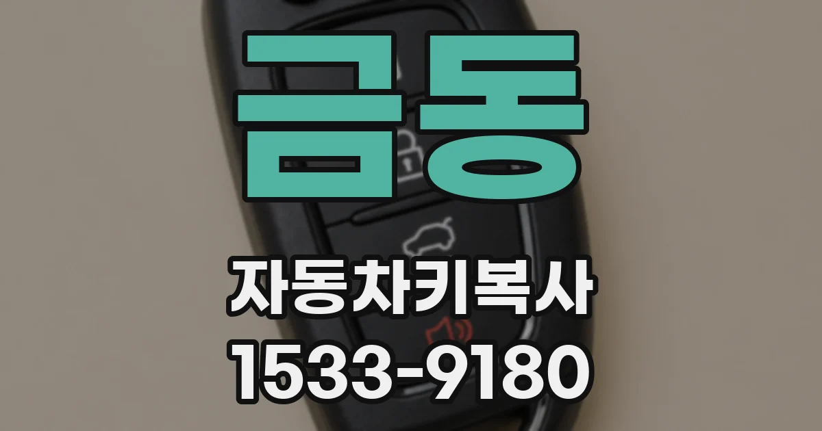 금동 자동차키복사