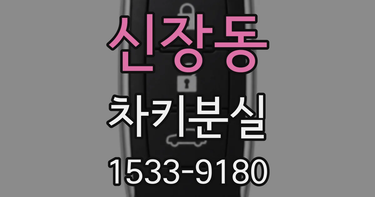 신장동 차키분실