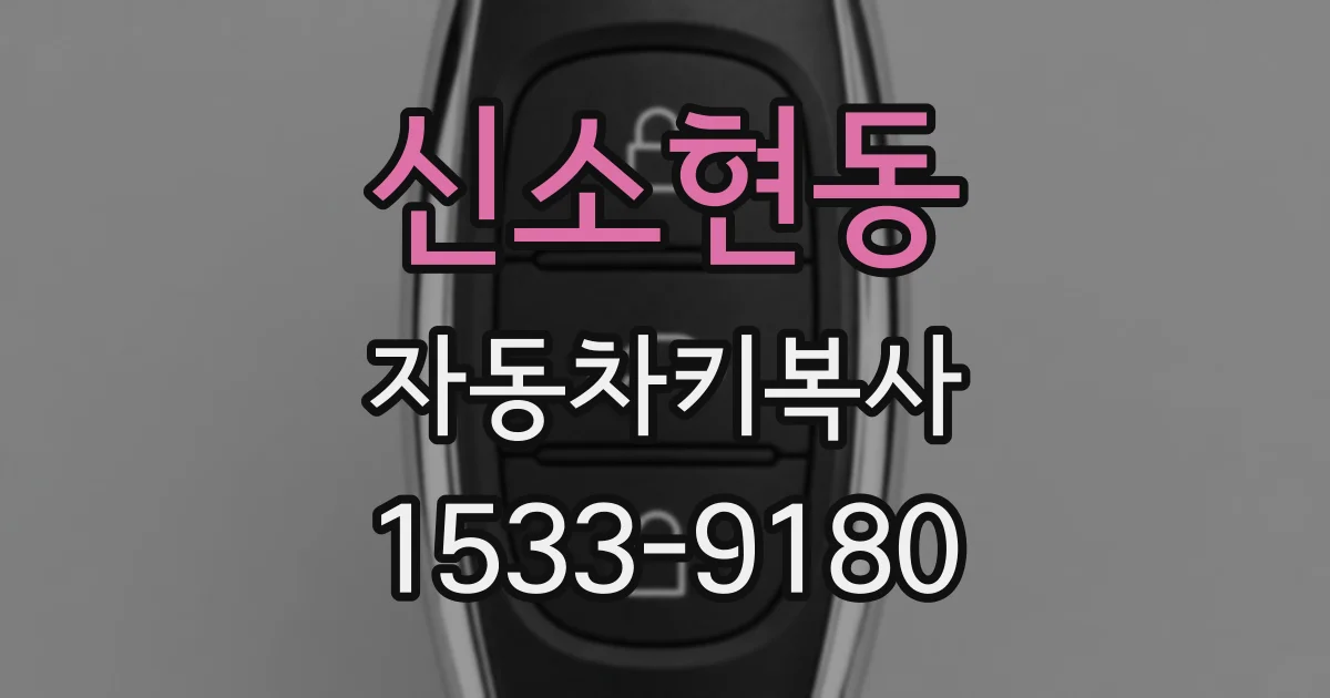 신소현동 자동차키복사