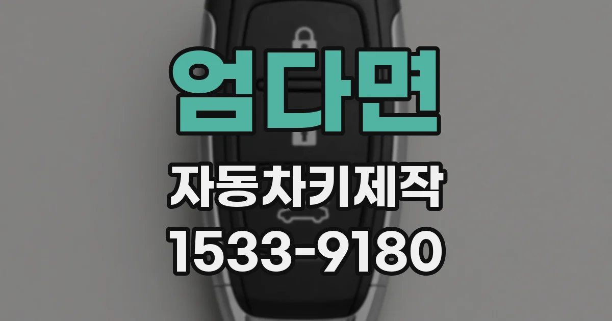 엄다면 자동차키제작